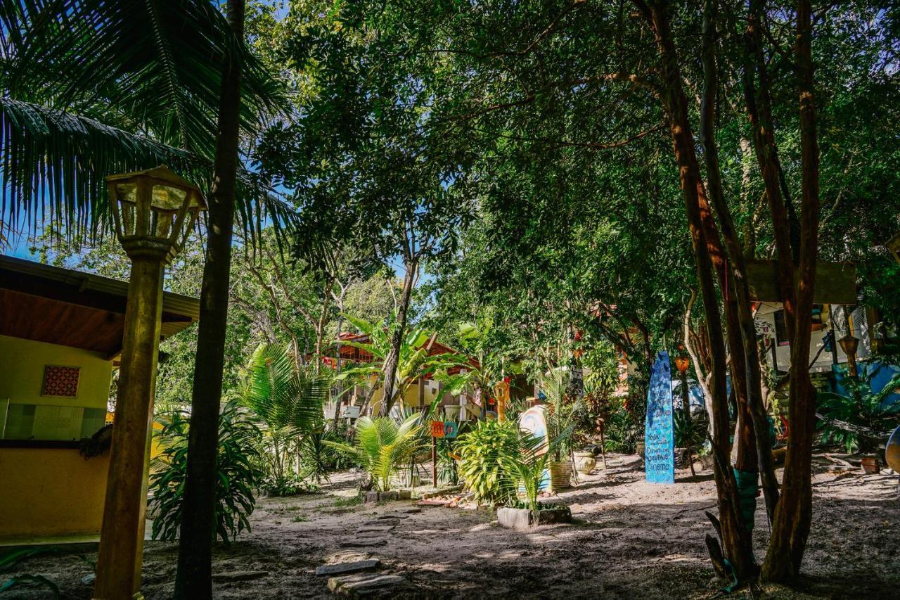 Macaco Surf Hostel Praia de Pipa Экстерьер фото