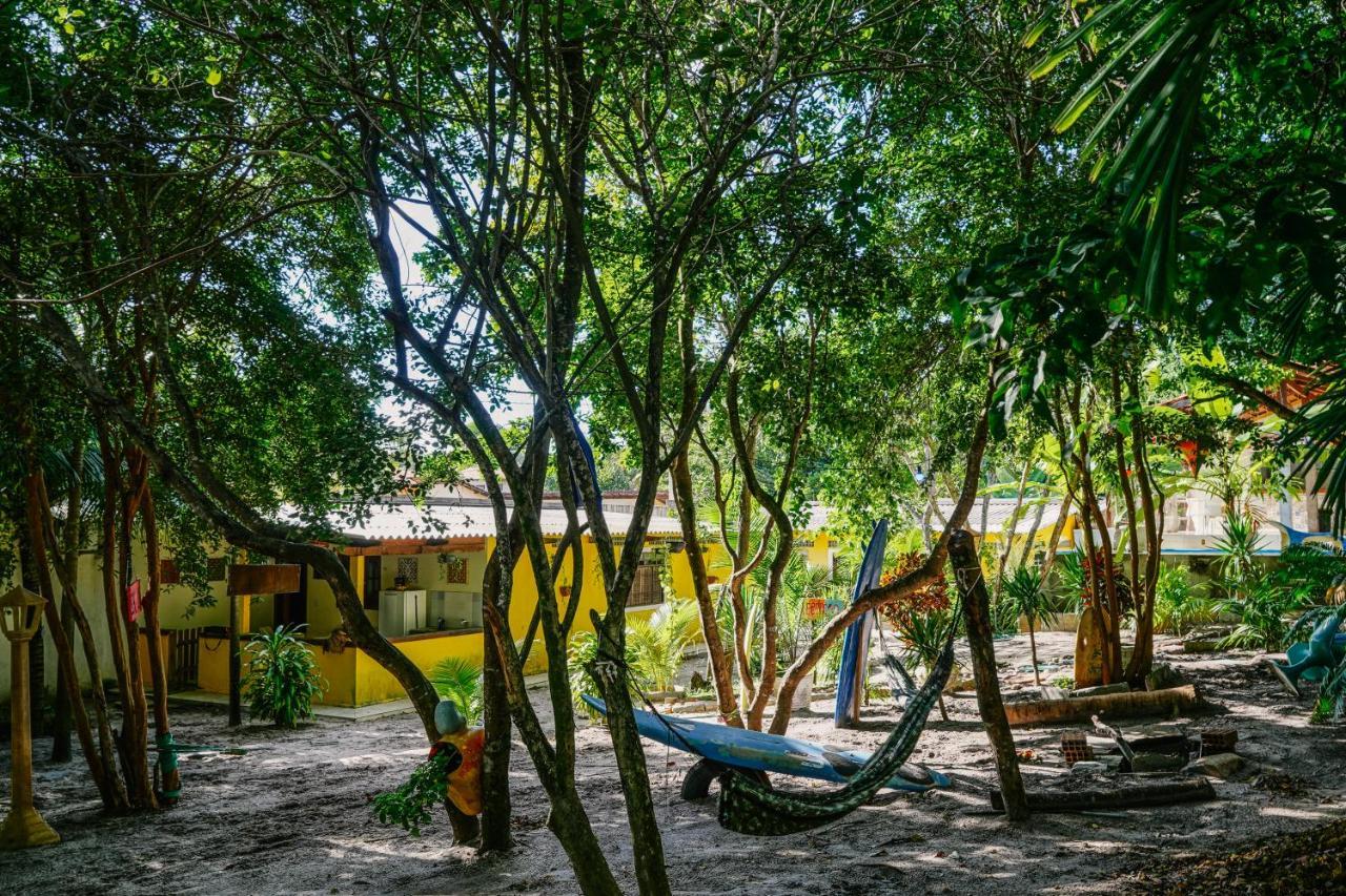 Macaco Surf Hostel Praia de Pipa Экстерьер фото
